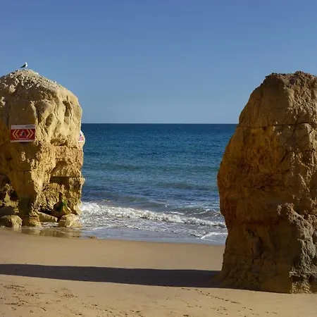 New Listing - Eden ヴィラモウラ