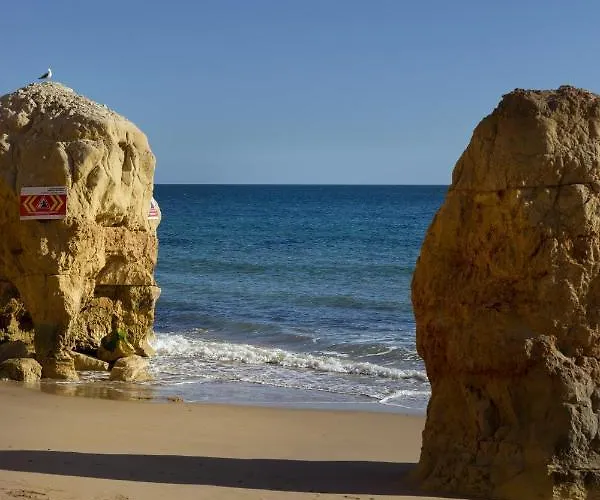 New Listing - Eden Vilamoura